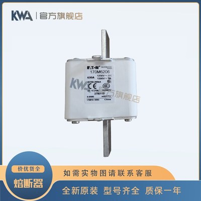 170M6202/6203/6204/6205/6206/6207/6208/6209快速保险丝熔断器