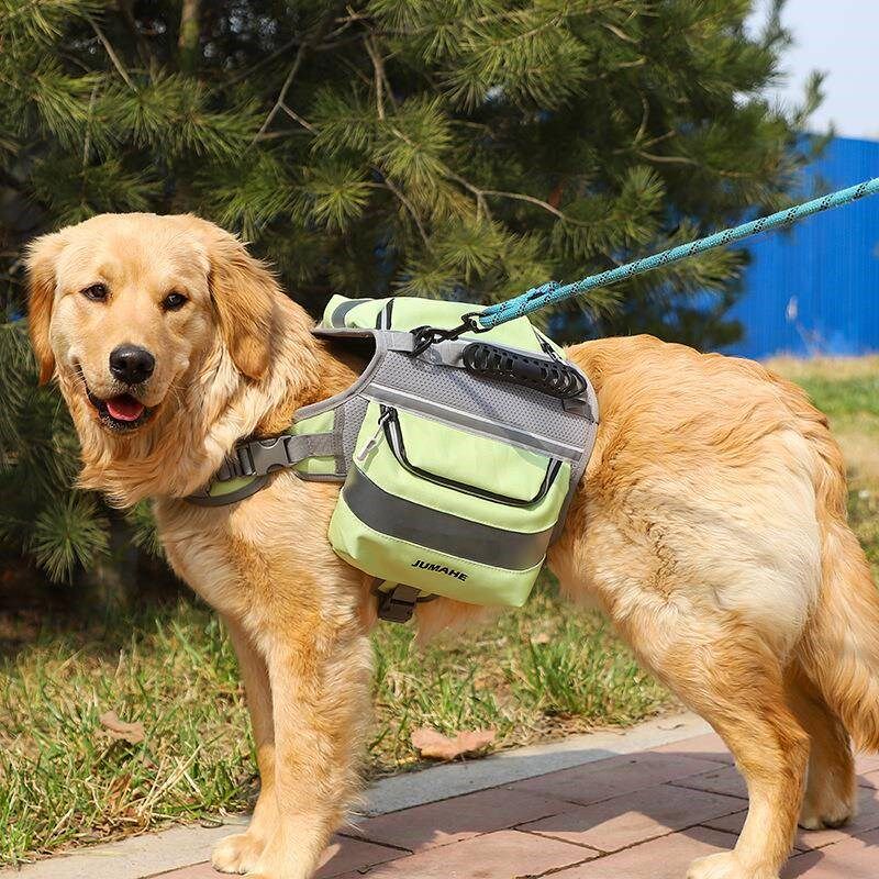 狗狗自背包大型犬金毛书包外出便携宠物狗背包牵引绳大狗背包驮包