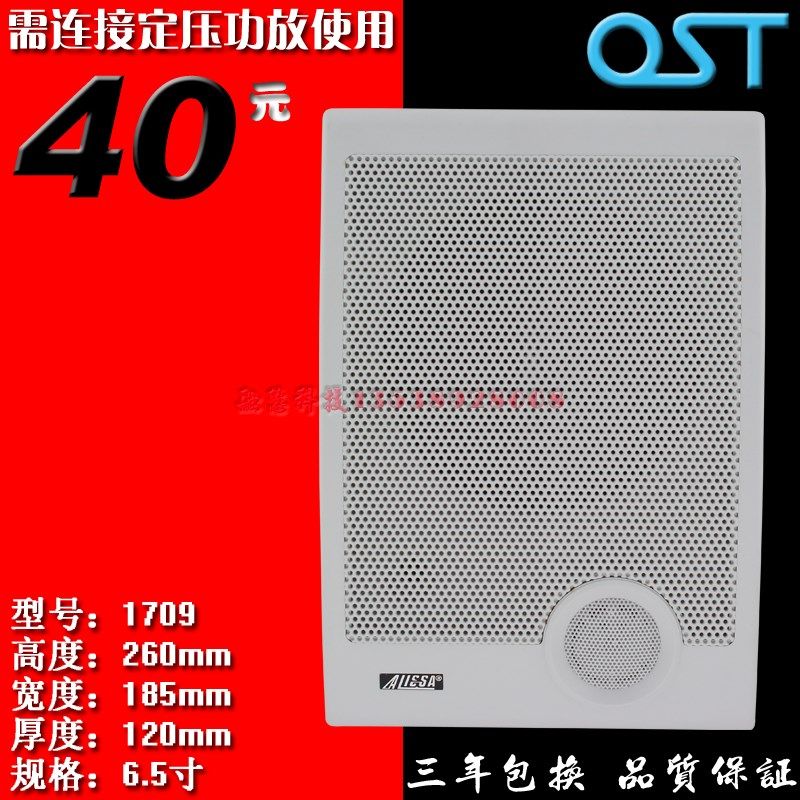 工程 壁挂音箱 墙壁喇叭教室音箱 挂壁音箱 扬声器听力训练塑料网