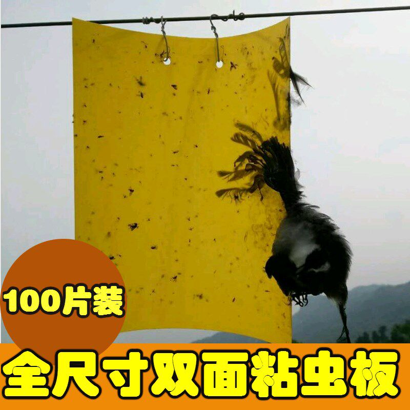 双面粘虫板黄蓝色诱黏沾虫板纸贴茶园果树蔬菜大棚飞虫果蝇蓟马