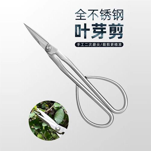 全不锈钢园艺剪叶芽剪嫩芽剪刀插花盆景枝叶剪修枝小枝剪加厚长杆
