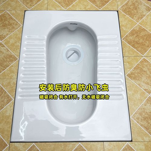 卫生间蹲便器防臭堵臭器堵厕所洞反味神器大便器堵孔塞除臭便池盖