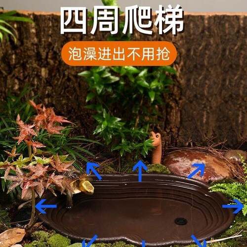 全阶梯式乌龟泡澡盆黄缘龟洗澡盆养殖箱造景盆陆龟半水龟专用缸