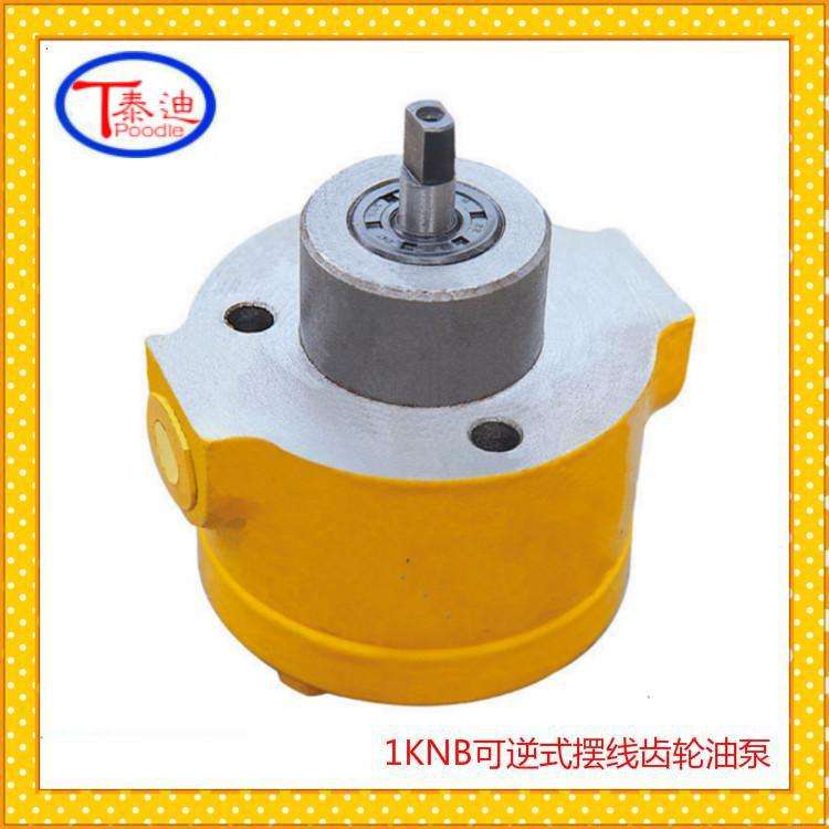 2KNB-12.5A可逆式摆线齿轮油泵 双向润滑泵 微型双向油泵