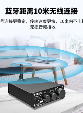 甄选飞想FX-502E L蓝牙5.1数字功放小型家用功放机