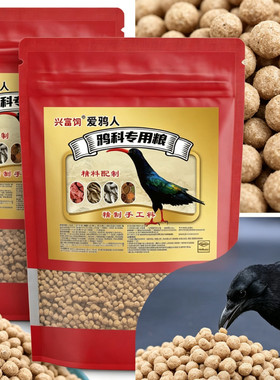 鸦科专用营养粮红嘴白颈秃笔寒鸦