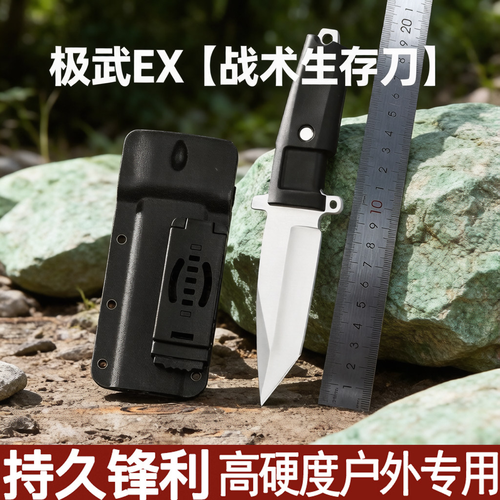 极武EX钢刀锋利小刀瓜果刀削皮水果刀厨房手把肉水果带刀鞘直刀