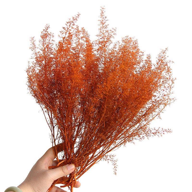 狂想者新品【刺黎干花束】建筑模型微景观树木灌木DIY相框画装饰