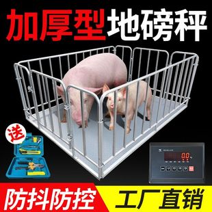 上海耀华地磅秤称猪牛带围栏防抖防控3吨工业小型电子加厚地磅称