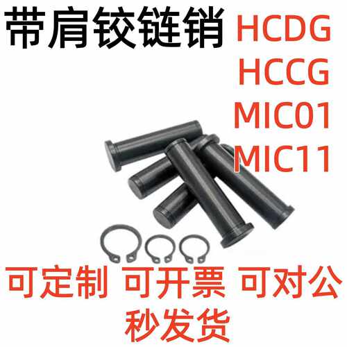MIC01/MIC11/HCDG/HCCG3 4 6 8 10 12 15 20 带肩铰链销轴