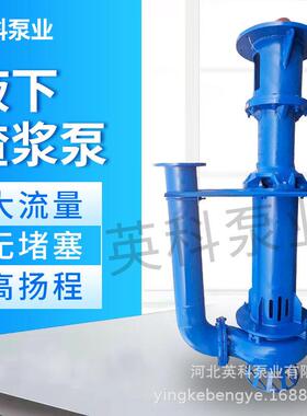 定制YZ立式泥浆泵液下渣浆泵抽沙泵吸砂泵河底清淤矿用污泥泵