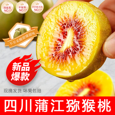 正宗四川蒲江红心猕猴桃