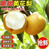 【偏南鲜果旗舰店】正宗黄花梨新鲜水果带箱5斤