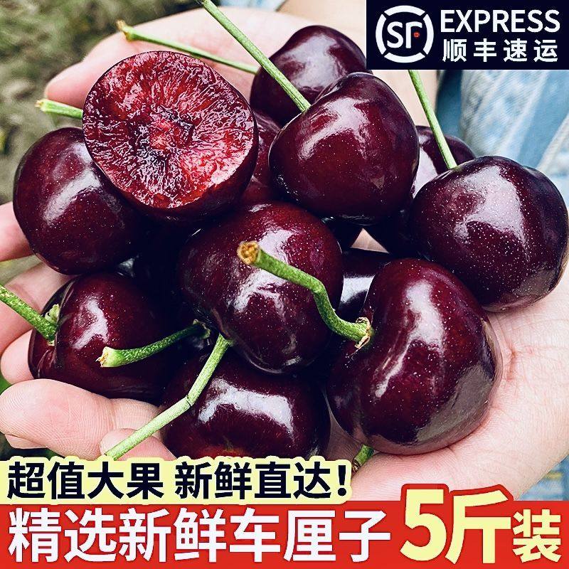 CCB【送货上门】进口车厘子整箱5斤1J级新鲜水果多汁樱桃2斤,水产肉类/新鲜蔬果/熟食,车厘子/樱桃,淘宝优惠券,粉丝福利购,淘宝优惠卷