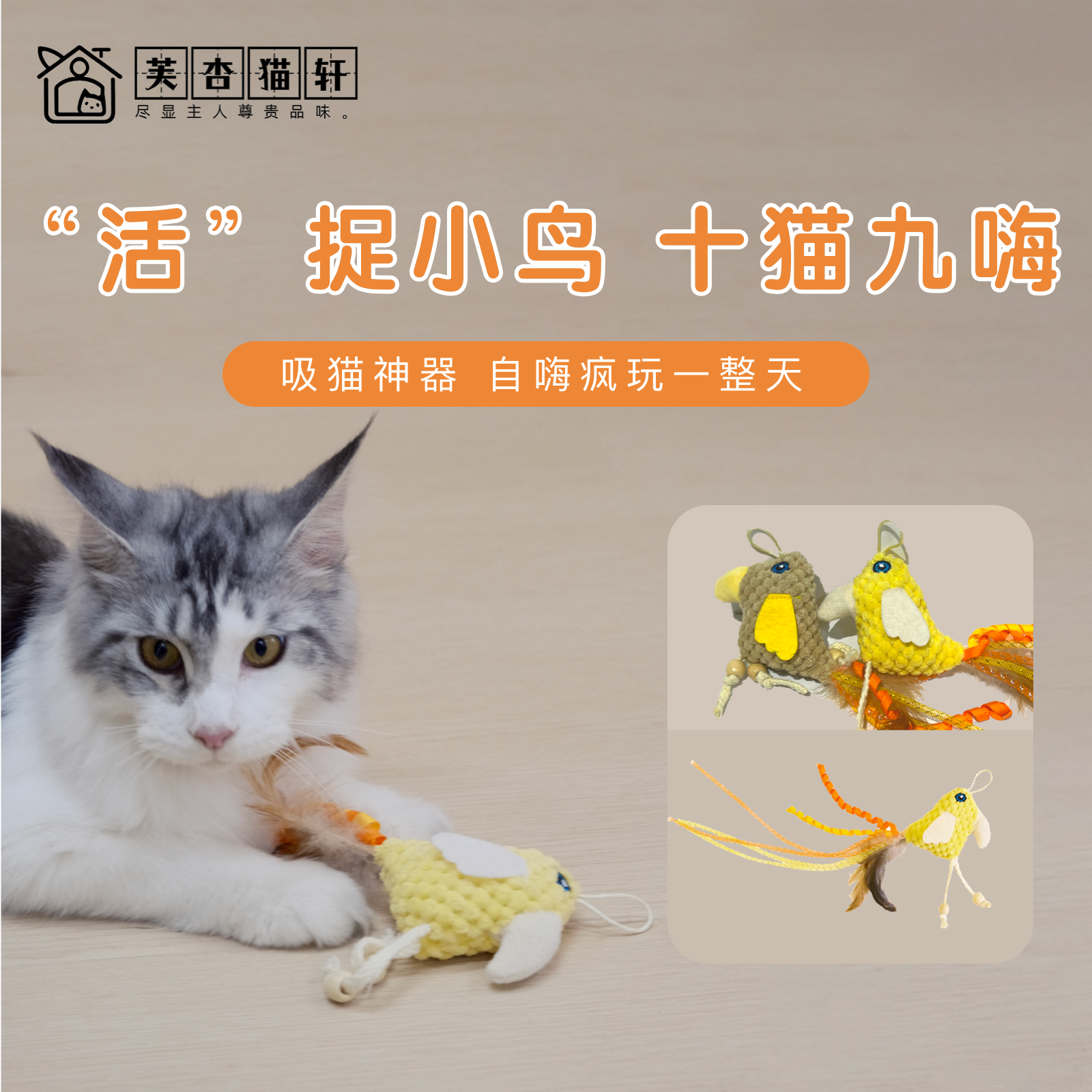 潮流精品，品质保证