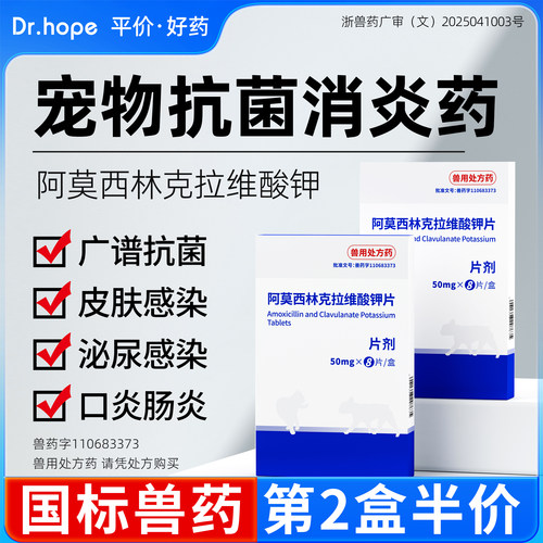 养宠常备宠物专用抗菌消炎药