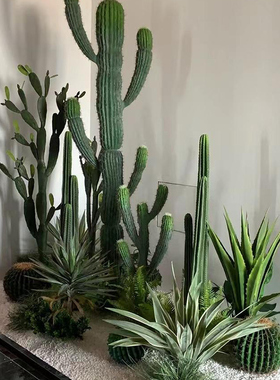 大型仿真绿植仙掌仙柱室内热带假仙球景观造景