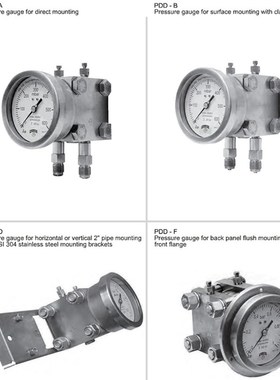 倍润加拿大WINTERS供应PDD系列全不锈钢双膜片差压表