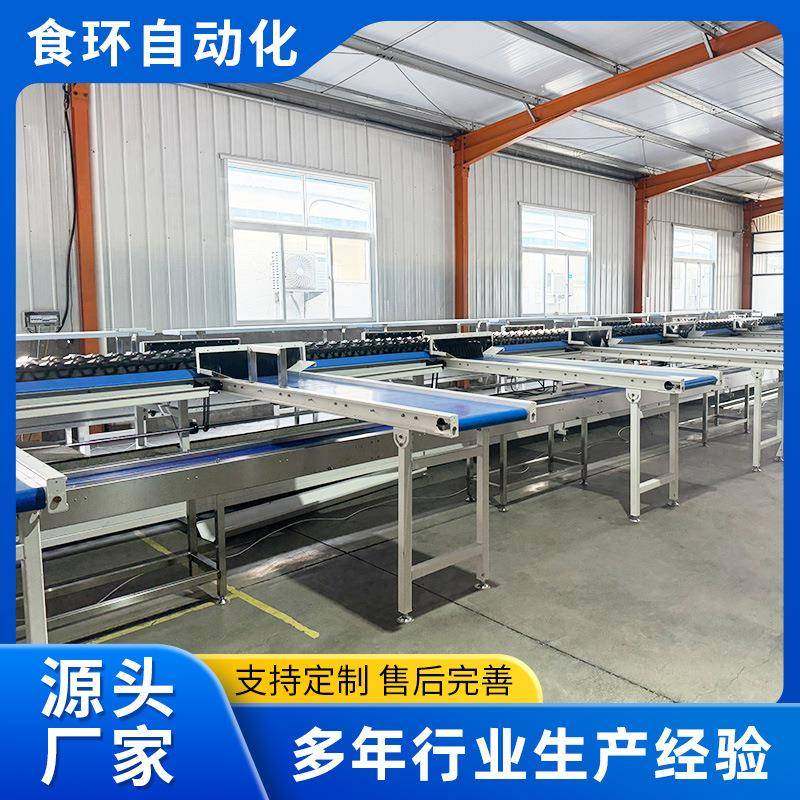 电脑选果机猕猴桃重量无损选果机自动化电脑感应重量型水果分选机,清洗/食品/商业设备,其他食品加工设备,淘宝优惠券,粉丝福利购,淘宝优惠卷