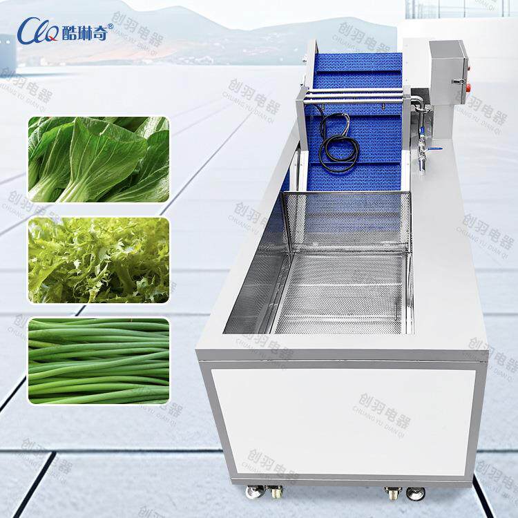 农园农残菜蔬菜洗菜机DCY 鼓杀泡式臭毒清洗机 灯笼椒菠洗氧泥机