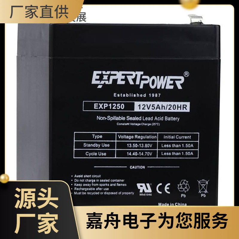 EXPERTPOWER蓄电池12V4.5Ah