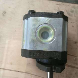 意大利RONZIO罗茨02ZCG25N438D全系齿轮泵液压马达选型参数