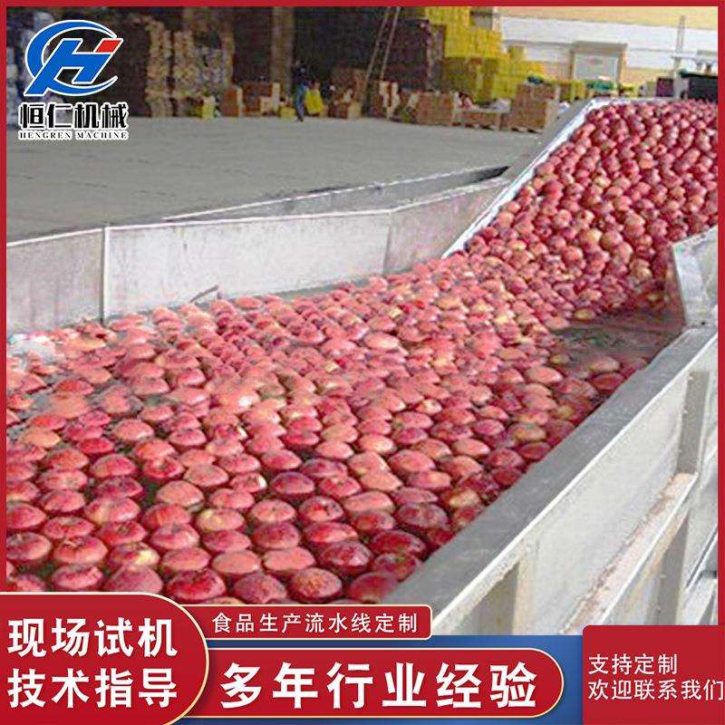 全自动葡萄干气泡清洗机水果蔬菜清洗包装袋去污净菜加工流水线