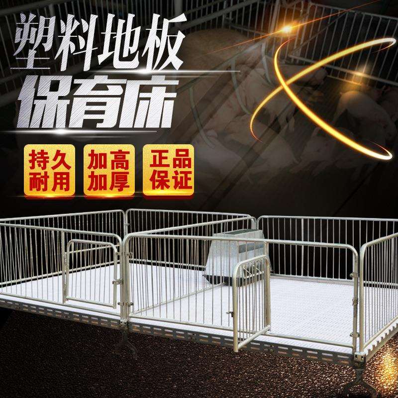 养猪的保育床塑料漏粪板小猪保育床猪仔保育床双体保育床直销