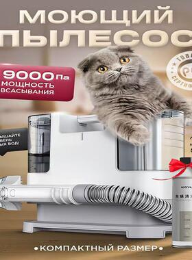 Máylàmsạchsofavảimini家用地毯窗帘吸尘器