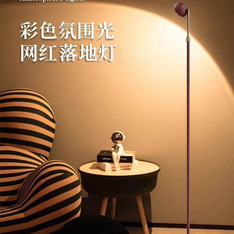 包邮艺术感落地灯客厅沙发旁边高级感轻奢落地氛围灯卧室网红落地