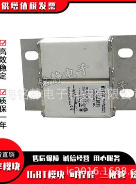 170M1832170M1833170M1842巴斯曼熔断器现货170M1843170M1844