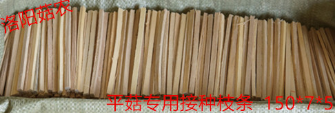 12cm14.5cm平菇接种枝条杨木枝条食用菌枝条菌种木条木签菌条长