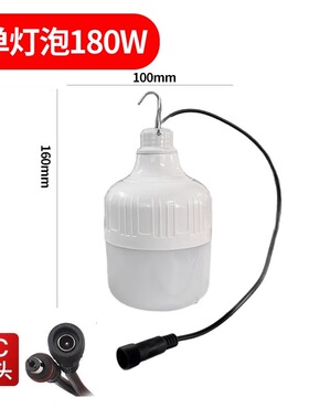 太阳能单灯泡6V专用LED灯泡太阳能发电系统DC插头5521头灯泡