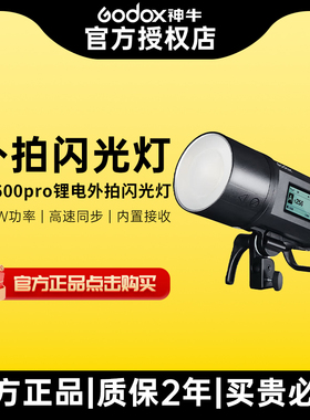 Godox神牛AD600proII AD600BM二代外拍灯高速同步TTL自动测光锂电池人物婚纱户外压太阳光600W大功率摄影灯