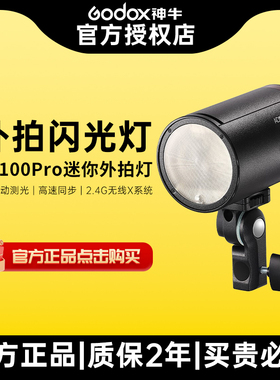 Godox神牛AD100pro外拍闪光灯高速同步TTL单反相机口袋灯户外手持摄影拍照专用便捷迷你小型100W打光灯彩色版