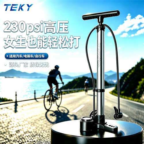 TEKY自行车打气筒家用通用