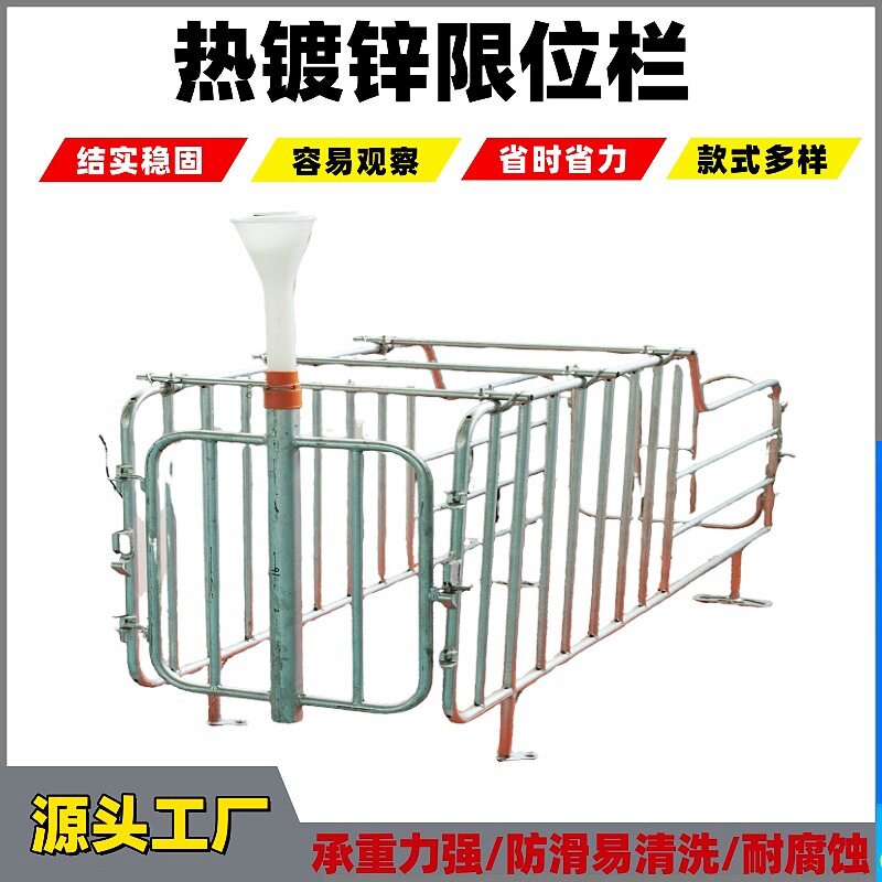 母猪定位栏猪用定位栏猪场养殖设备厚热镀锌母猪限位栏猪圈漏粪