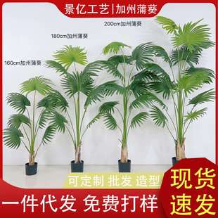 仿真热带加州蒲葵仿真绿植盆栽客厅落地圆叶扇葵树绿植摆件