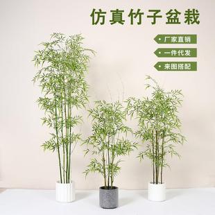 新中式仿真竹子假竹子绿竹盆栽室内装饰盆景庭院屏风造景极简风