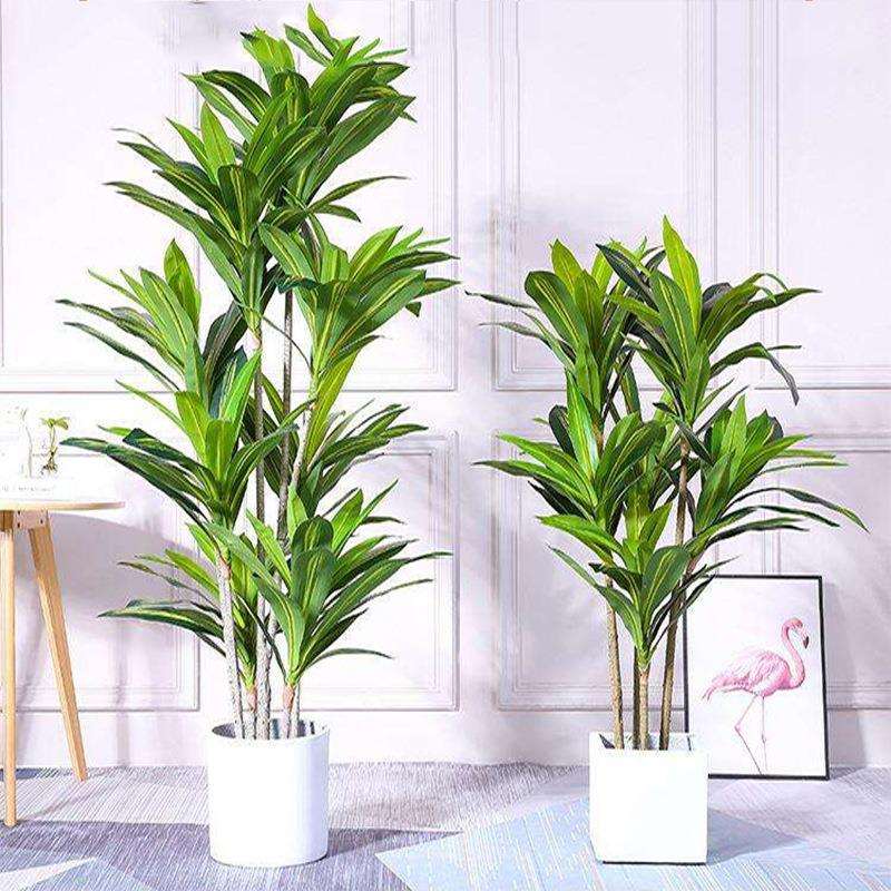 仿真绿植巴西木盆栽家居软装布景室内室外北欧风摆件假植物树盆景