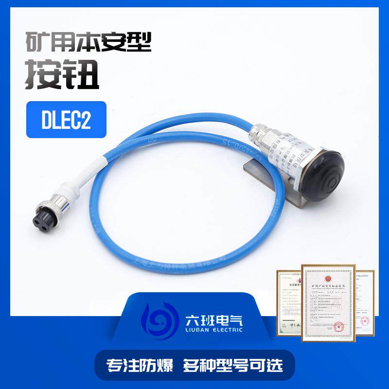 矿用电子喇叭DLEC2配套按钮ZEB-K(B)本安电路用按钮开关AH0.5/24