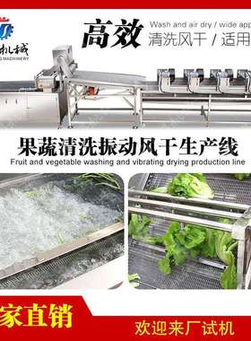 清洗振动除水风干线萝卜流水线胡萝卜清洗作业线腾昇机械