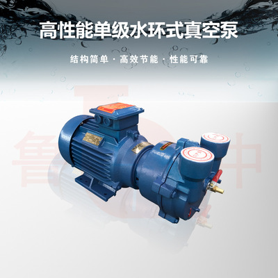 2BV2070水环/油环直联真空泵