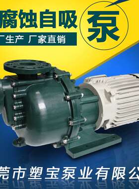 LD-40011化学清洗循环泵氨水输送泵循环氨水泵流泵磷化液输送泵厂