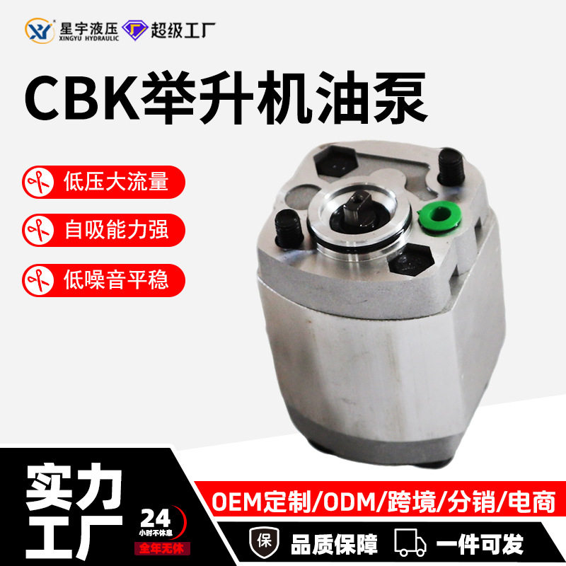 CBK动力单元CBK-F2.1/F3.2/F4.2/F4.8液压泵小型升降举升机齿轮泵
