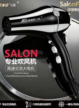 飞鹏6600专业发廊大功率家用冷热静音负离子理发店专用吹风筒