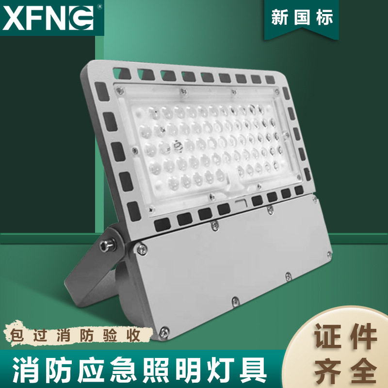 20W集中电源隧道应急灯隧道基本应急照明加强照明可外加调光
