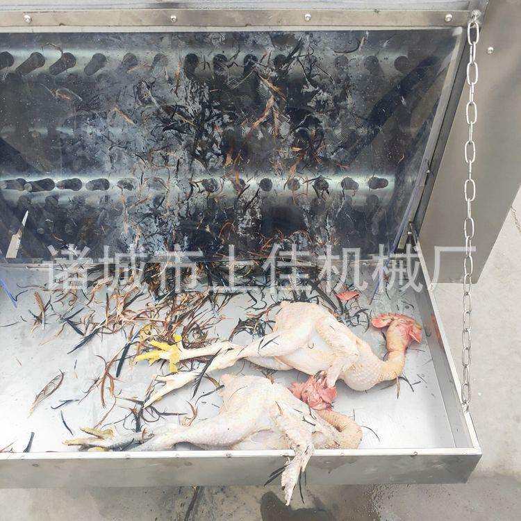 家禽脱毛机鸡鸭鹅小型全自动家用杀鸡毛神器商用大型打毛机拔毛机