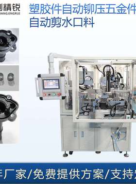 汽车电子铆接机 注塑件自动铆接钢套设备riveting machine压铆机