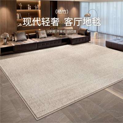 地毯客厅现代轻奢简约高级感茶几沙发地垫大面积全铺免洗可擦卧室
